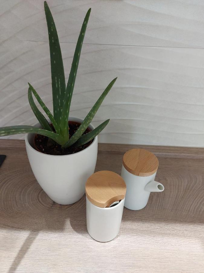 수보티차 Kat Apartman 아파트 외부 사진